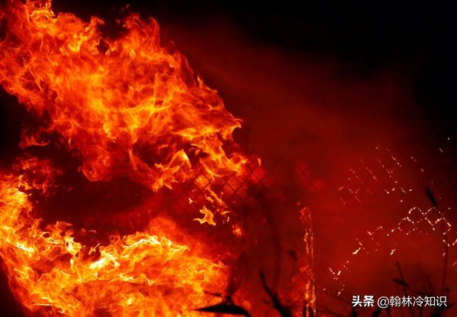 加州是哪个国家，斐乐是哪个国家的品牌_斯凯奇是哪个国家的品牌（在美国是怎样的存在）