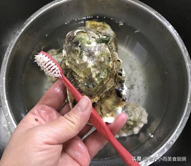 女生吃生蚝的功效和作用，女人吃生蚝有什么好处（“天然营养品”一斤才十块钱）