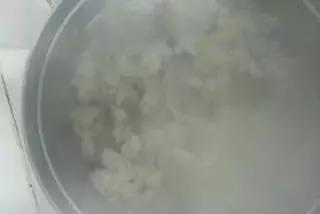 跳水兔的做法步骤是什么,怎么做跳水兔(跳水兔的制作方法) 跳水兔的做法步骤是什么,怎么做跳水兔(跳水兔的制作方法)