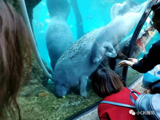 珠海长隆游玩攻略，珠海长隆游玩攻略图（带娃去珠海长隆该怎么玩）