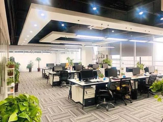 东北人不敢惹徐州人，徐州人社app（被误解的徐州人，是你吗）