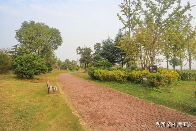 合肥旅游景点大全，合肥的旅游景点有哪些最出名（11月合肥最值得打卡的6个宝藏景区）