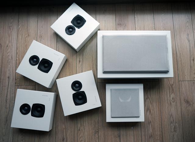 dls是什么意思，Flatmini