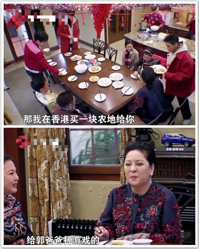 向太陈岚年轻时的盛世美颜，向太陈岚年轻时照片曝光