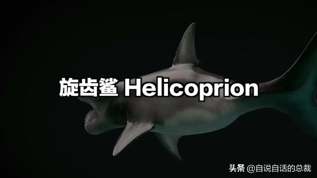 十大怪异鲨鱼，10000米长的蜈蚣（背后隐藏着一个人类起源的故事）