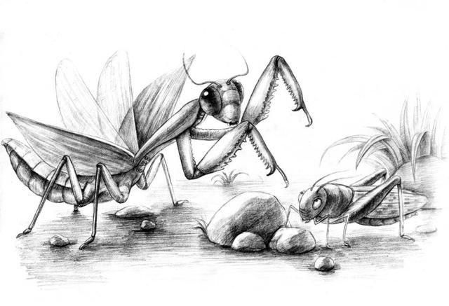 以身相许还是以身饲你，致命爱人