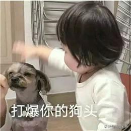 tatan为什么走红，tatan是怎么火的（是碰到这些刁钻难缠的熊娃表情包）