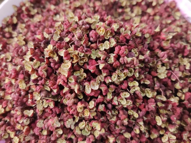 花椒的种类太多了哪一种花椒最好，常用的花椒有哪些种类