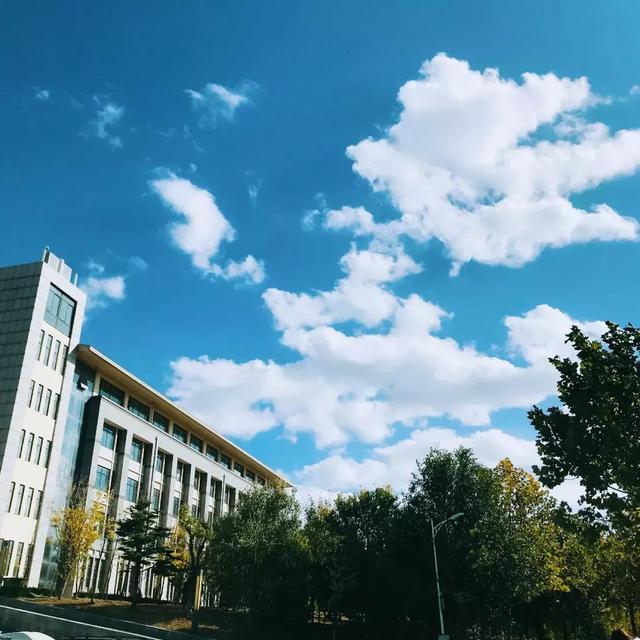 大连财经学院学费，2021年大连财经学院录取通知书查询入口_什么时候收到及发放时间（<八>大连财经学院）