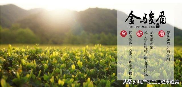 武夷山金骏眉，武夷山金骏眉属于什么茶（今天我们来了解武夷山茶中珍品金骏眉）
