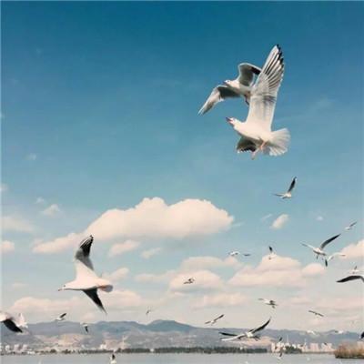 天空图片大全 唯美意境，天空/意境/背景图/ins风 ins风天空背景图（微信风景唯美天空高清无水印头像）