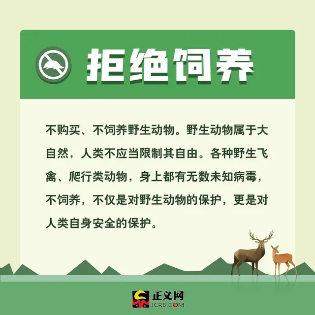 保护动物的方法，保护野生动物，你应该这样做