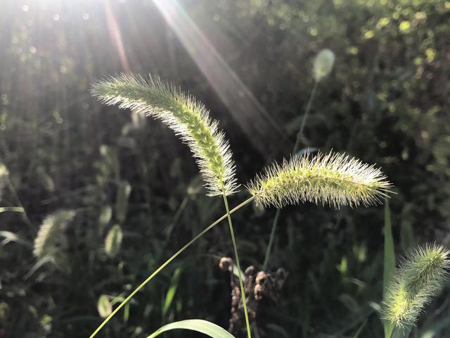 灵修是什么意思，灵修究竟是什么意思（生活中需要好好修炼）