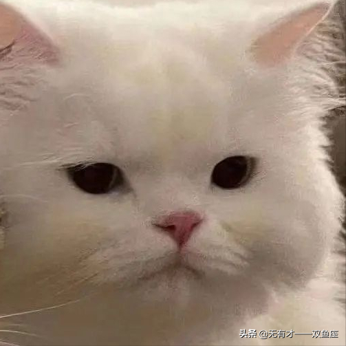 双鱼座男人，双鱼座男人喜欢女人主动吗（双鱼座的超级爆料<男生篇>）