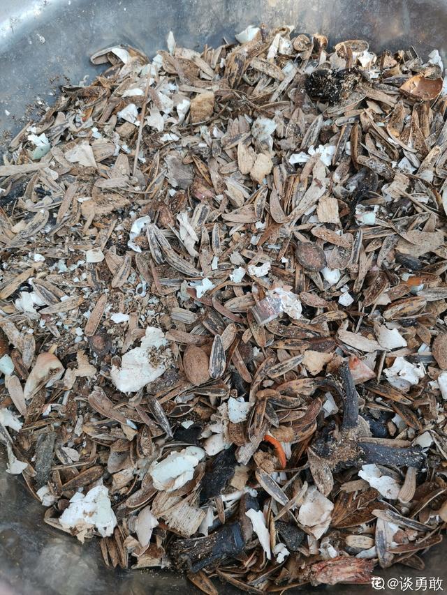 对兰的养殖方法和注意事项，对兰的养殖方法和繁殖（家里养兰花）
