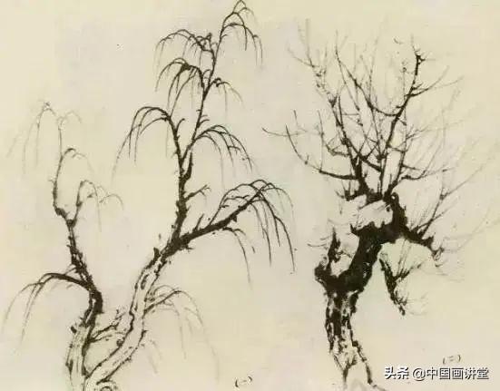 大树怎么画，大树怎么画的特别好看（缠枝、挺杆、屈节、钮裂、一棵树如何画）