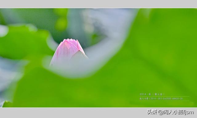 景深是什么意思，巫师3景深是什么意思（摄影景深的含义是什么）