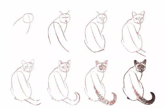 简笔画小猫教程，小猫简笔画一步一步教（8步教你学会画各种猫简笔画）