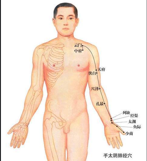 十二经络走向记忆法，十二经络走向记忆法2（12首穴位歌诀教你瞬间记住经络走向）