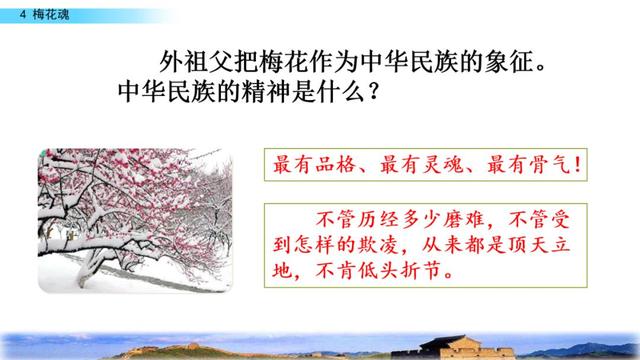 梅花魂的意思，部编版五年级下册第4课《梅花魂》图文讲解+知识点梳理