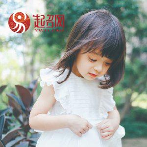 晨字取名的寓意是什么，晨字取名的寓意是什么女孩（翩若惊鸿的惊艳女孩名字）