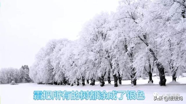 丛拼音,从拼音怎么写的(四年级下册语文第27课《巨人的花园》图文详解及同步练习) 丛拼音,从拼音怎么写的(四年级下册语文第27课《巨人的花园》图文详解及同步练习)