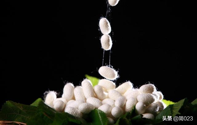 超细纤维是什么材质，超细聚酯纤维是什么材质（服装材料学——丝纤维）