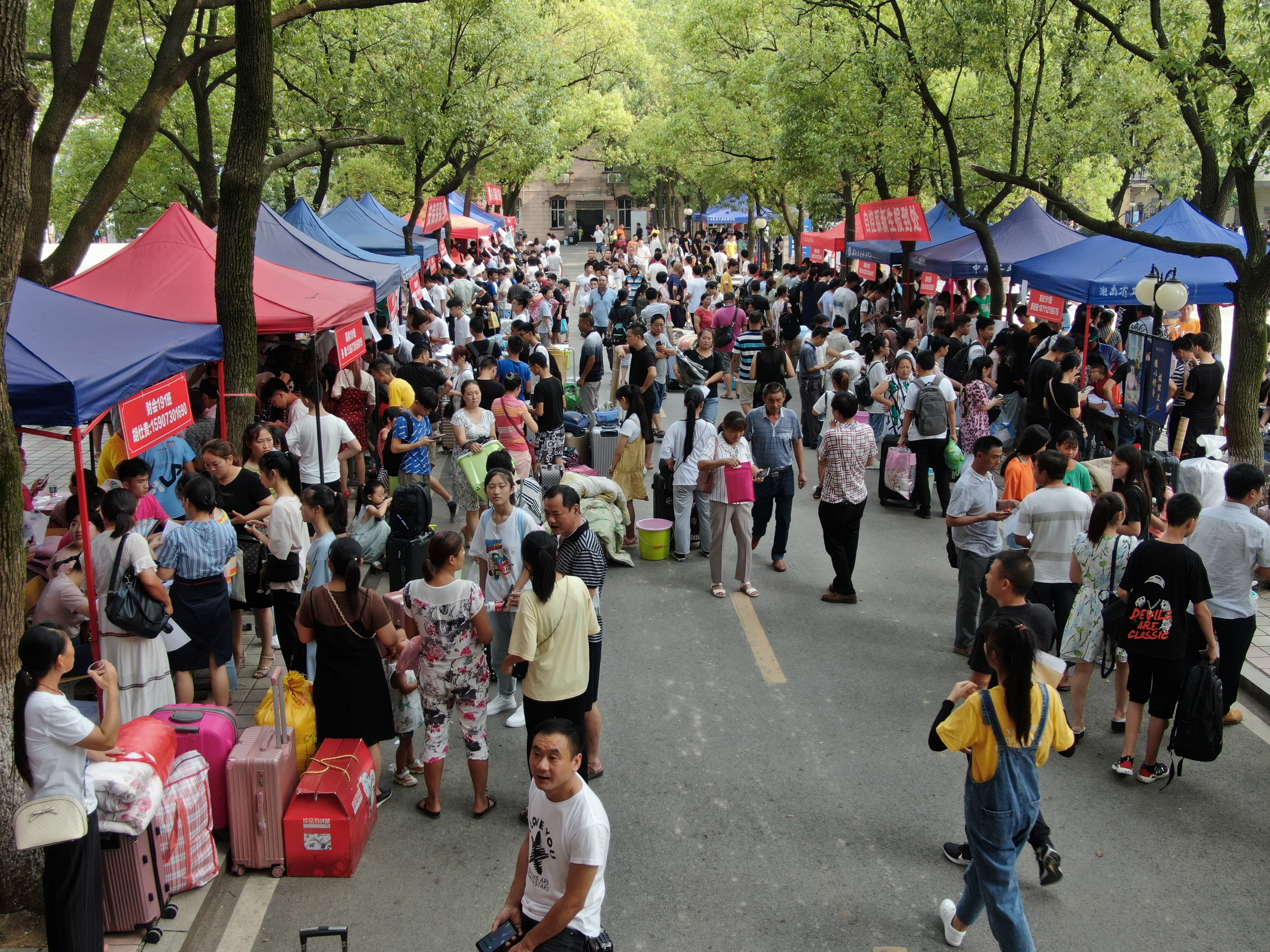 中南学校（捷报频传）