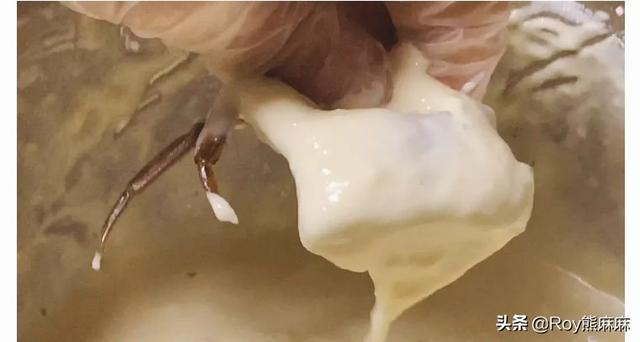 苏州立秋吃什么，2020立秋吃什么菜（苏州老饕必吃时令菜）