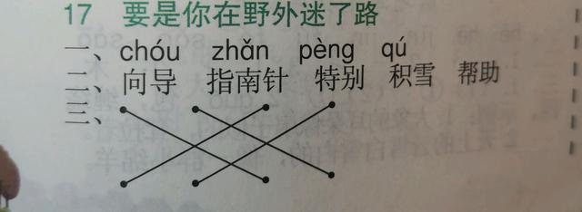 天然的指南针还有哪些可以辨别方向，天然的指南针有哪些（学好17课《要是你在野外迷了路》）