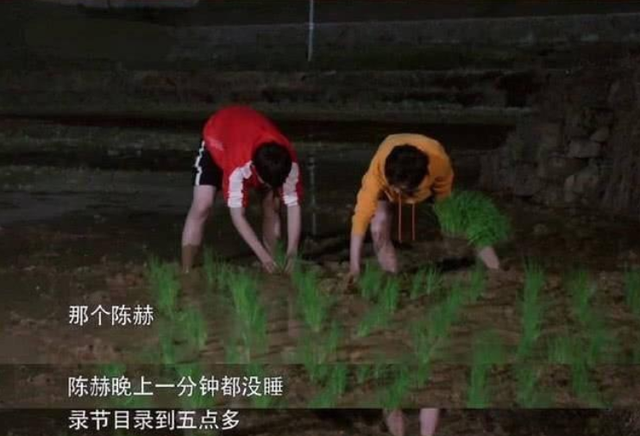 朱桢离了几次婚，朱桢离婚（他拯救了综艺大型尴尬现场）