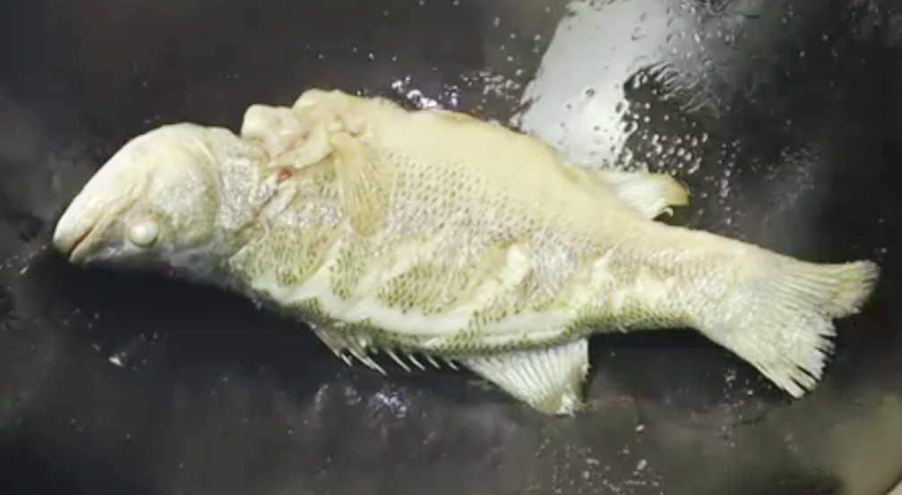 圖片[5]-【紅燒鱸魚】做法步驟圖 千萬別直接下鍋 教你這一招-起舞食譜網