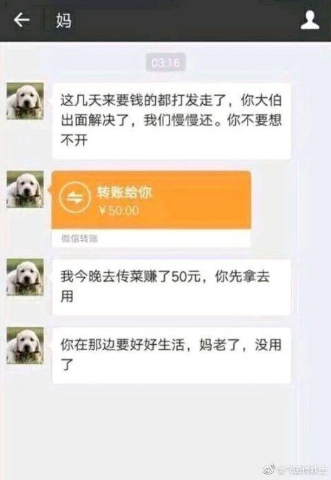 沙口是什么梗，玩的烂梗却走红网络