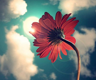 “灿白两个大傻子.”♡，灿白百度百科（泰戈尔《吉檀迦利》第一篇亚洲获得诺贝尔奖的大作图片）