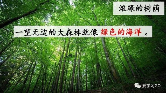 赛跑的拼音，赛跑的拼音怎么读（部编版二年级下册第23课《祖先的摇篮》知识点+图文讲解）