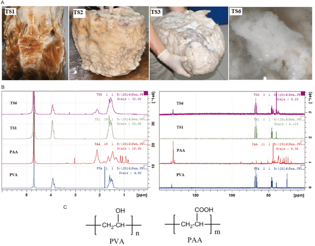 太岁是怎么形成的，太岁是怎么形成的视频（科学家探秘“太岁”真相）