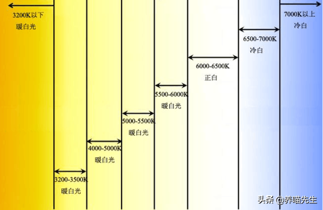 蓝猫是英短的一种吗，英国短毛猫为什么叫做“蓝猫”