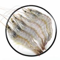 虾有多少品种，淡水虾有哪些品种（虾类双11购买攻略富山虾）