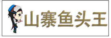 阿瓦山寨鱼头做法，阿瓦山寨鱼头的做法（太原一折指南带你去阿瓦山寨）