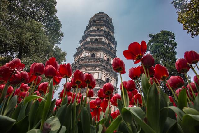 苏州虎丘古塔有多高,苏州虎丘的塔(古人修建了60余年才完成) 苏州虎丘古塔有多高,苏州虎丘的塔(古人修建了60余年才完成)