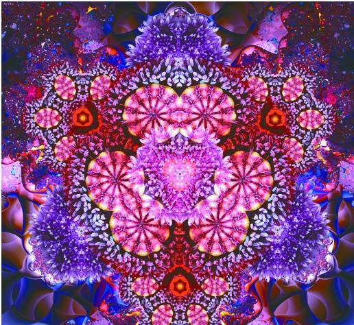 分形艺术照的特点，艺术照分什么风格（分形艺术插图，美！）