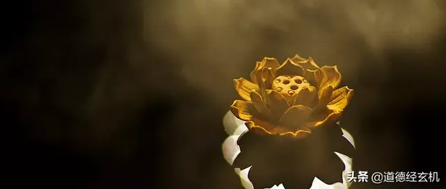 道德经的为人处世之道，老子《道德经》：两条处世天规