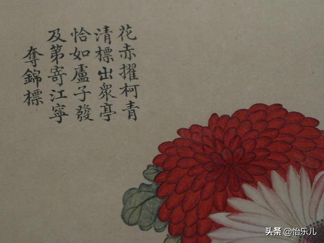 葩的读音（葩怎么读，葩是什么意思（金佛座、搓粉妆、绶带紫、鹤头丹）