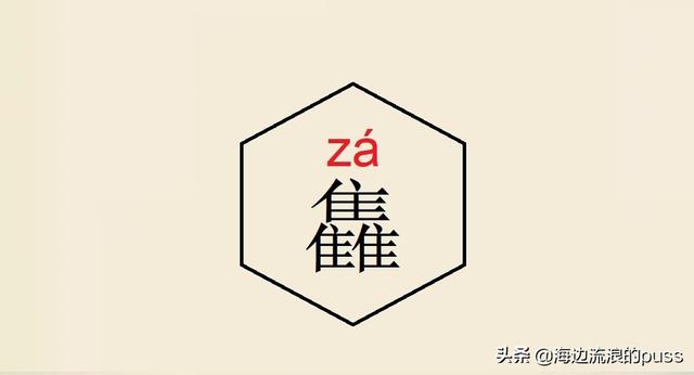 聂怎么读音，这些异体字和生僻字