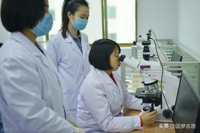 医科大学有哪些，有医学系的大学都有哪些（4所只在提前批招生）