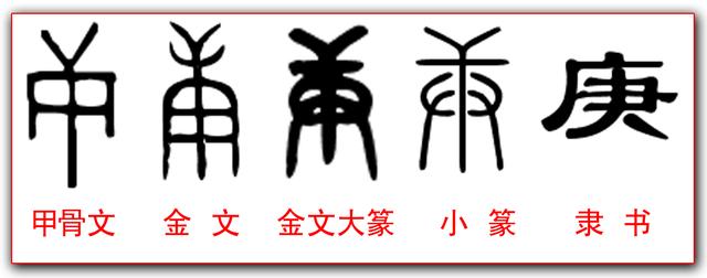 带康字的励志成语，带康字的成语100个（今天我们却写成“糠萝卜”）
