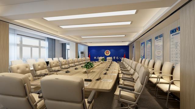 会议室设计说明，公司会议室设计说明（公共空间设计———会议室、大厅）