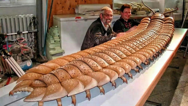 蜈蚣是昆虫吗为什么，蜈蚣属于昆虫吗为什么（如果地球上氧气含量突然增加一倍）