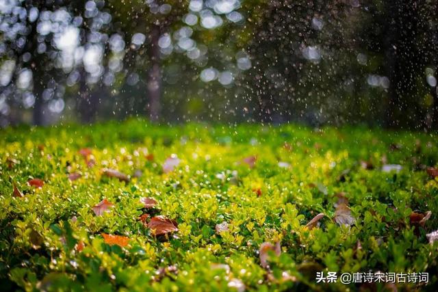 秋夜朱淑真翻译，朱淑真秋夜原文和翻译（秋夜何其多）