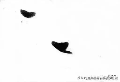 怎么画鸭子,今天星期二考试考个鸭蛋怎么画鸭子(娄师白教你画鸭子) 怎么画鸭子,今天星期二考试考个鸭蛋怎么画鸭子(娄师白教你画鸭子)